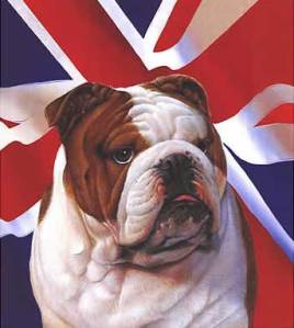 british-bulldog