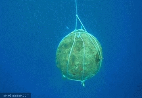 sea-mine